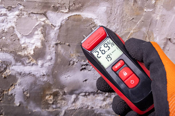 Best Residential Mold Removal  in Brogden, NC