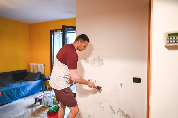 Best Best Mold Removal Companies  in Brogden, NC